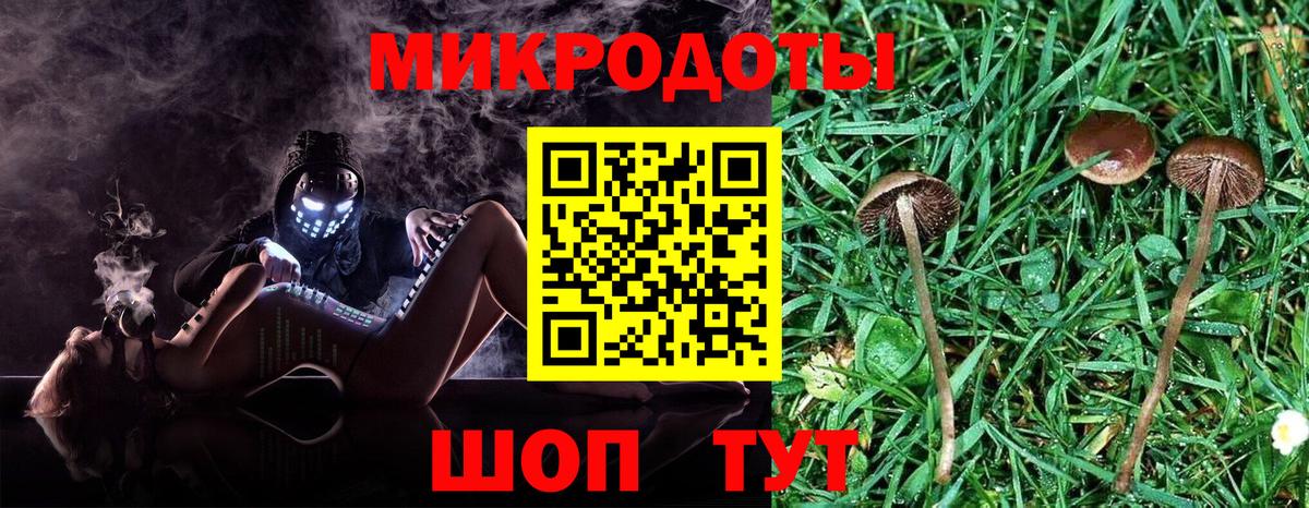 Тобольск  Галлюциногенные грибы прущие грибы  Вход с VPN 