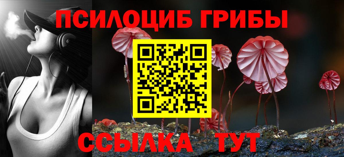 Псилоцибиновые грибы мицелий Тобольск